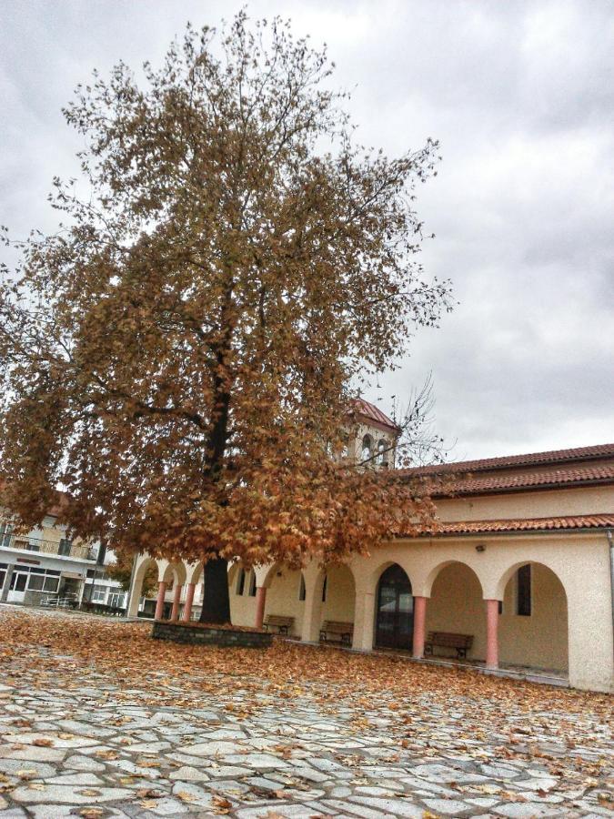 Village House Grevena Exterior photo